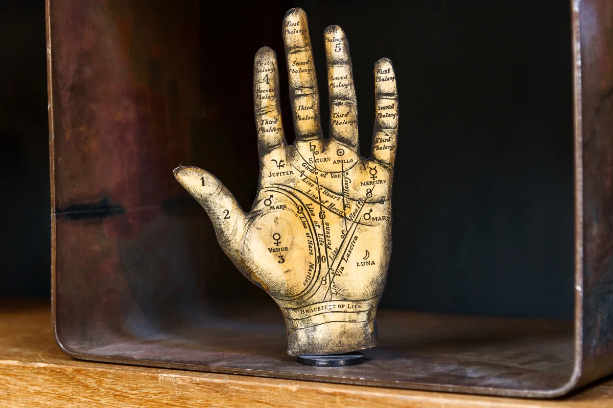 From Struggle to Strength: The 3 Palm Lines That Can Change Your Life’s Trajectory for the Better