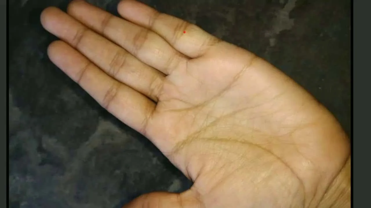 Understanding the Basics of Palmistry: What Your Hands Reveal